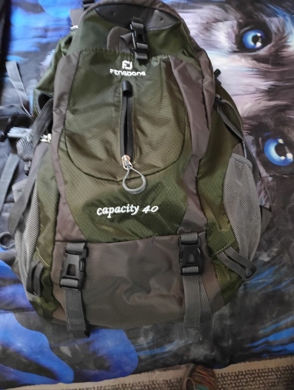Green & Gray Men's 40L Hiking Backpack